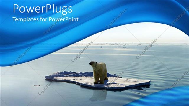  Presentation with sea water - Polar bear on ice piece floating on the water of Arctic sea