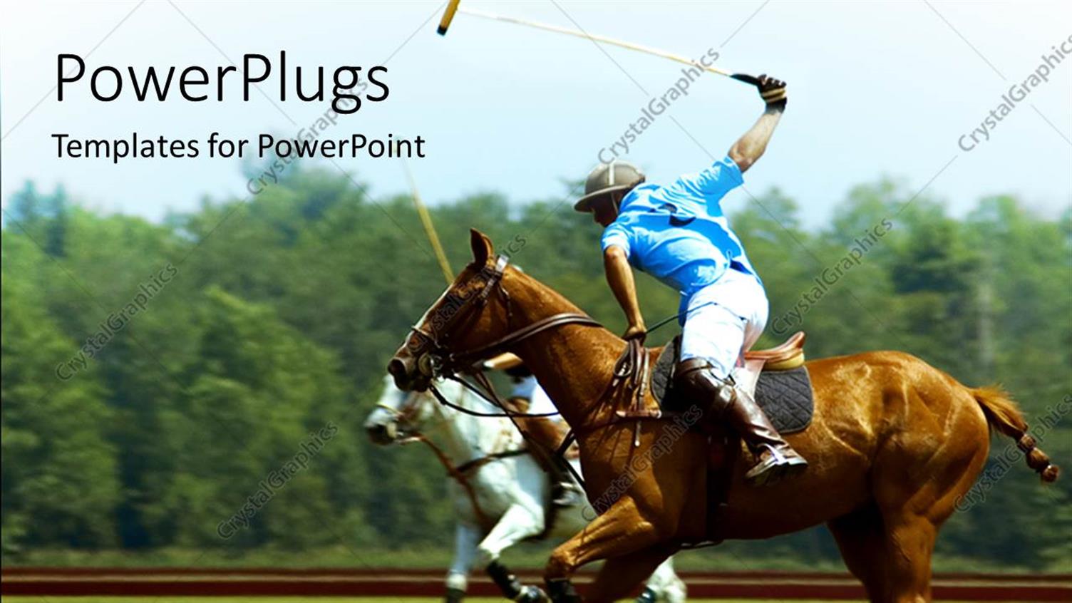 Premium Template for PowerPoint & Google Slides 