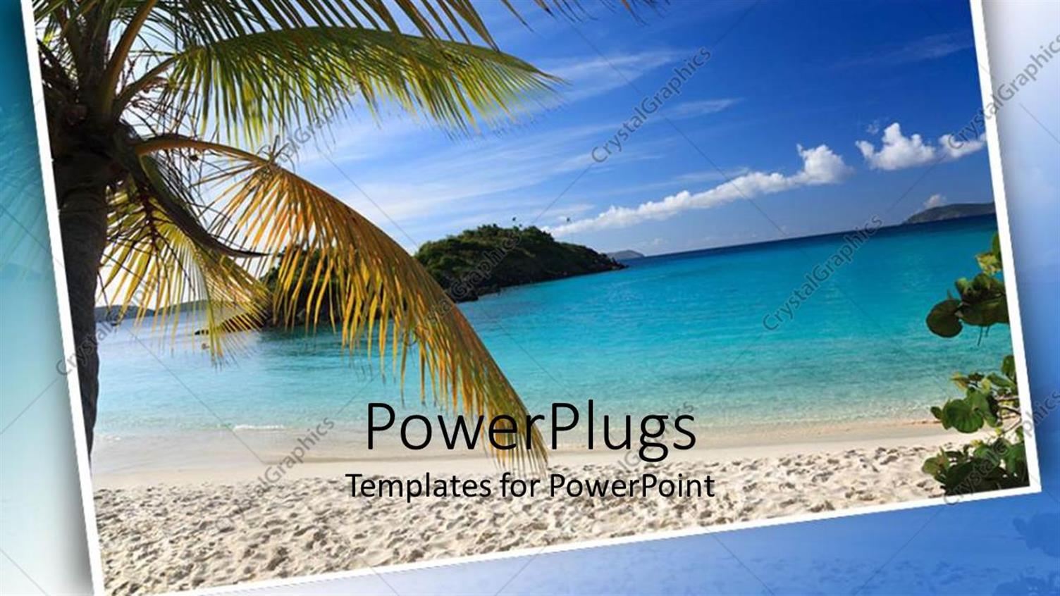 Premium Template for PowerPoint & Google Slides 