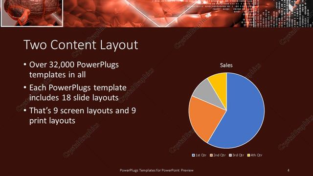 Two Content presentation slide layout