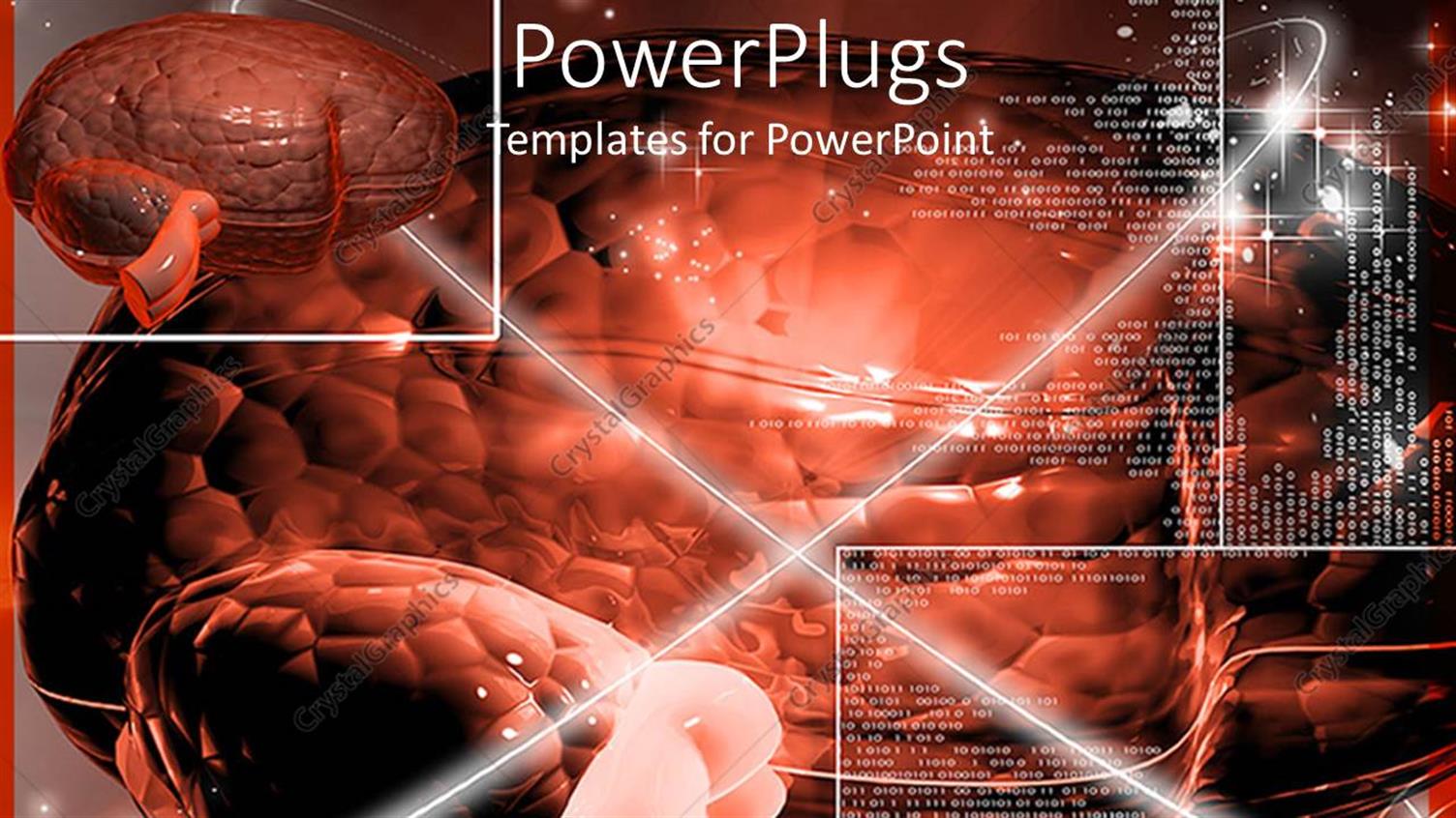 Premium Template for PowerPoint & Google Slides 