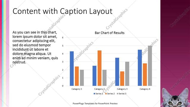 Content with Caption presentation slide layout