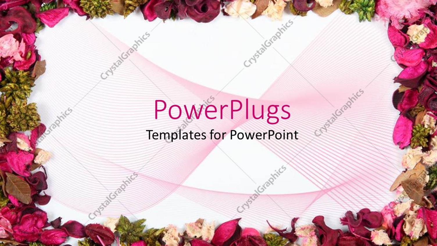 Premium Template for PowerPoint & Google Slides 