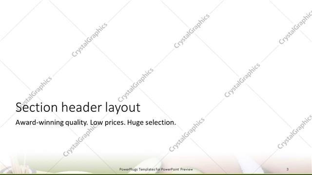 Section Header presentation slide layout
