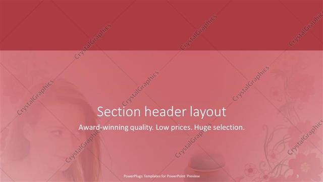 Section Header presentation slide layout