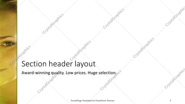 Section Header presentation slide layout