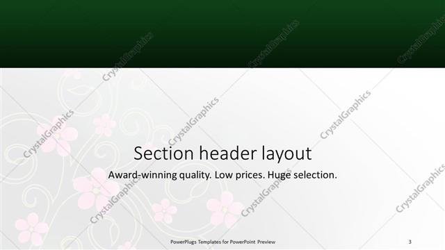 Section Header presentation slide layout