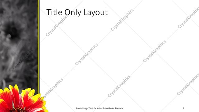 Title Only presentation slide layout