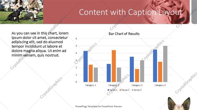 Content with Caption presentation slide layout