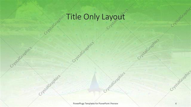 Title Only presentation slide layout