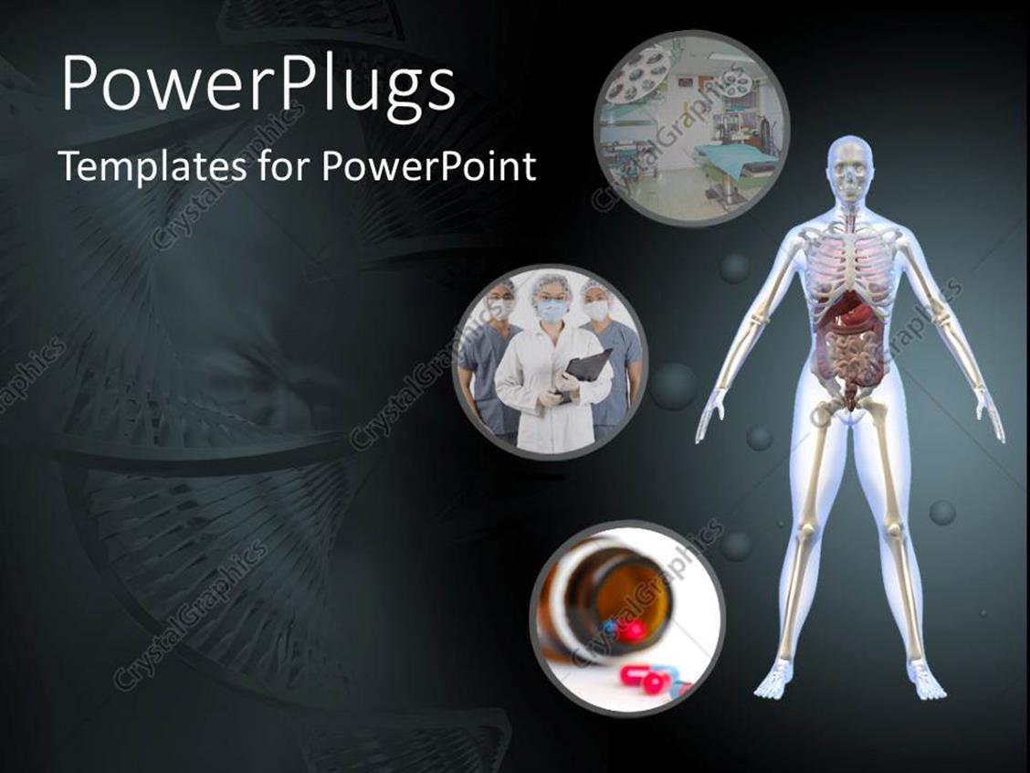 PowerPoint Template public health for human body and internal organs