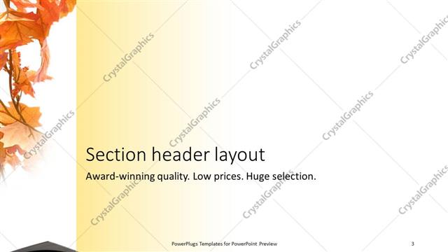 Section Header presentation slide layout