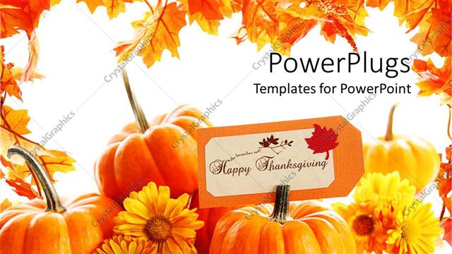  Presentation with giving - Some pumpkins with yellow flowers on a white background