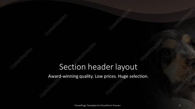 Section Header presentation slide layout