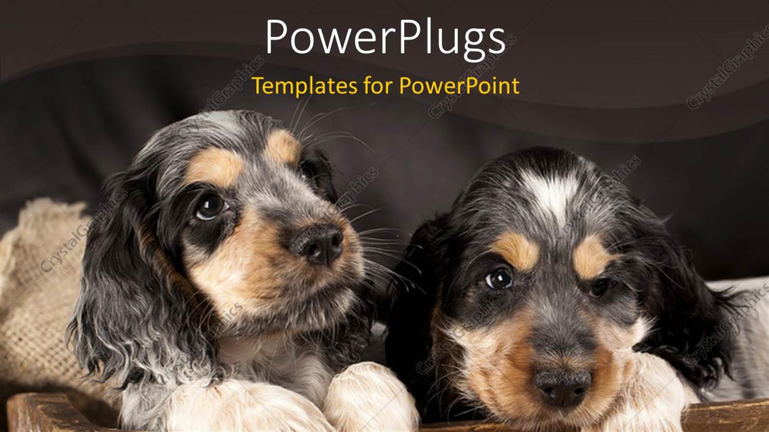 Premium Template for PowerPoint & Google Slides 