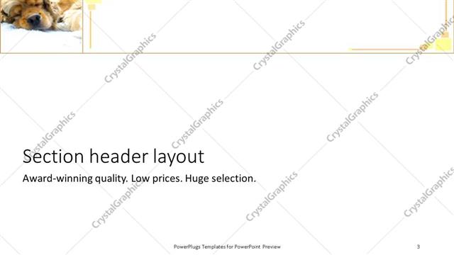 Section Header presentation slide layout