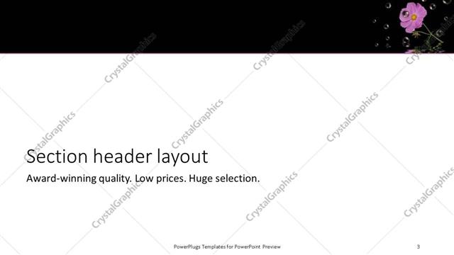 Section Header presentation slide layout