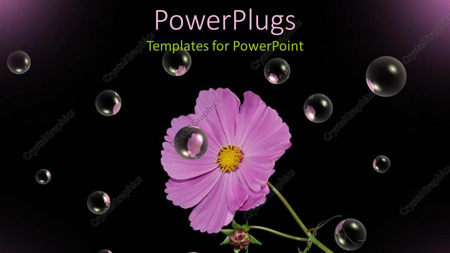 Premium Template for PowerPoint & Google Slides 