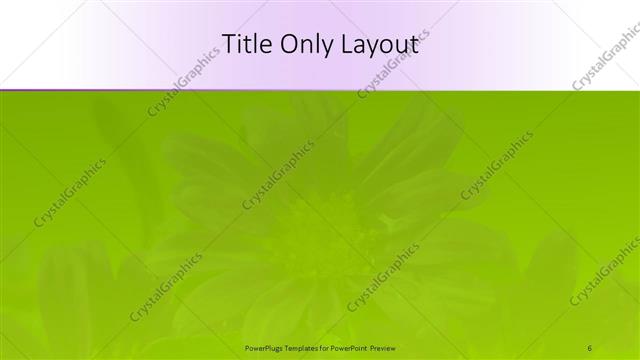 Title Only presentation slide layout