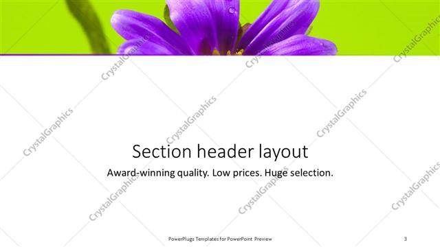 Section Header presentation slide layout