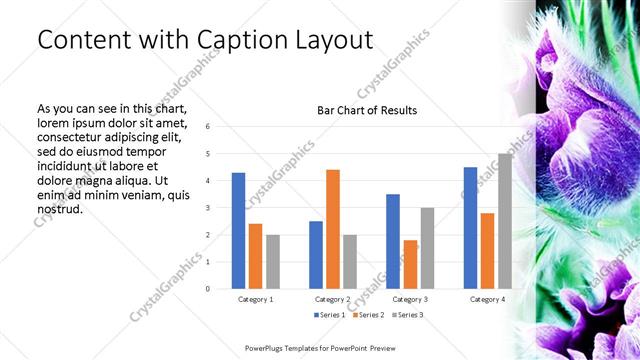 Content with Caption presentation slide layout