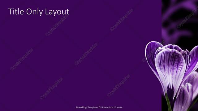 Title Only presentation slide layout