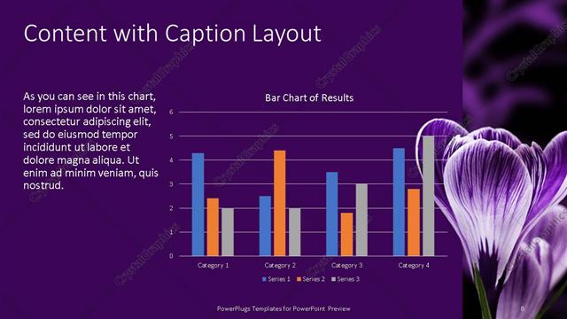 Content with Caption presentation slide layout