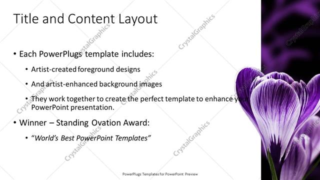 Title and Content presentation slide layout
