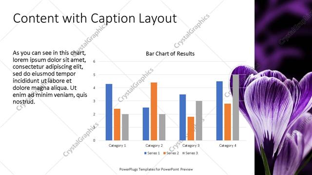 Content with Caption presentation slide layout