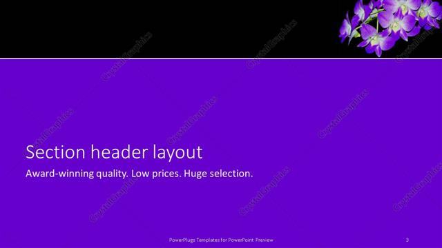 Section Header presentation slide layout