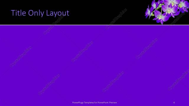 Title Only presentation slide layout