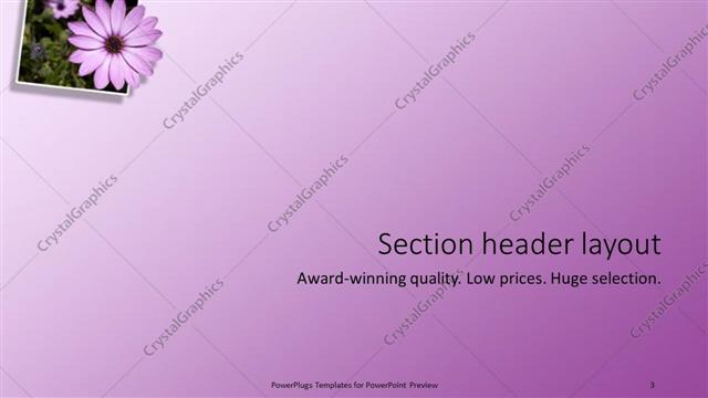 Section Header presentation slide layout