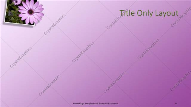 Title Only presentation slide layout