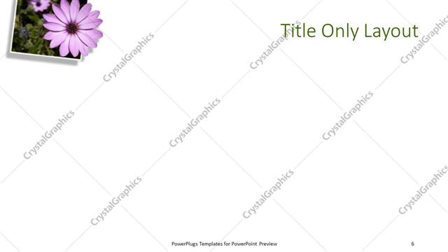 Title Only presentation slide layout