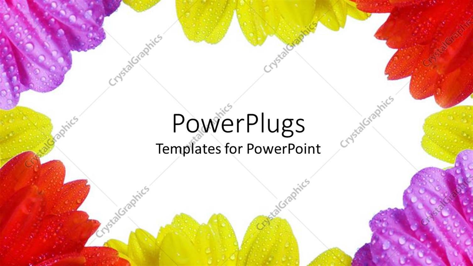 Premium Template for PowerPoint & Google Slides 
