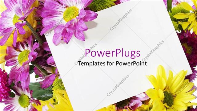  Presentation with blank - Purple and yellow spring flowers behind a blank note card