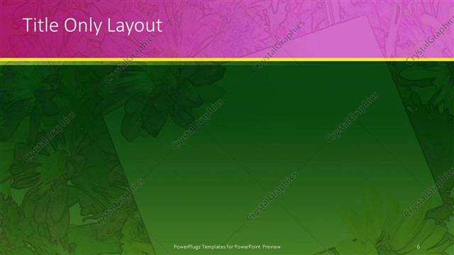 Title Only presentation slide layout