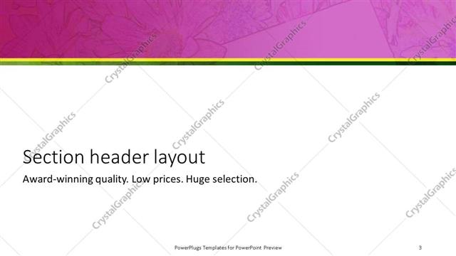 Section Header presentation slide layout