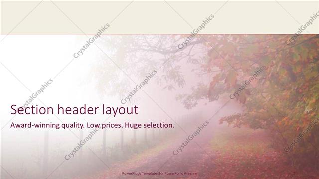 Section Header presentation slide layout