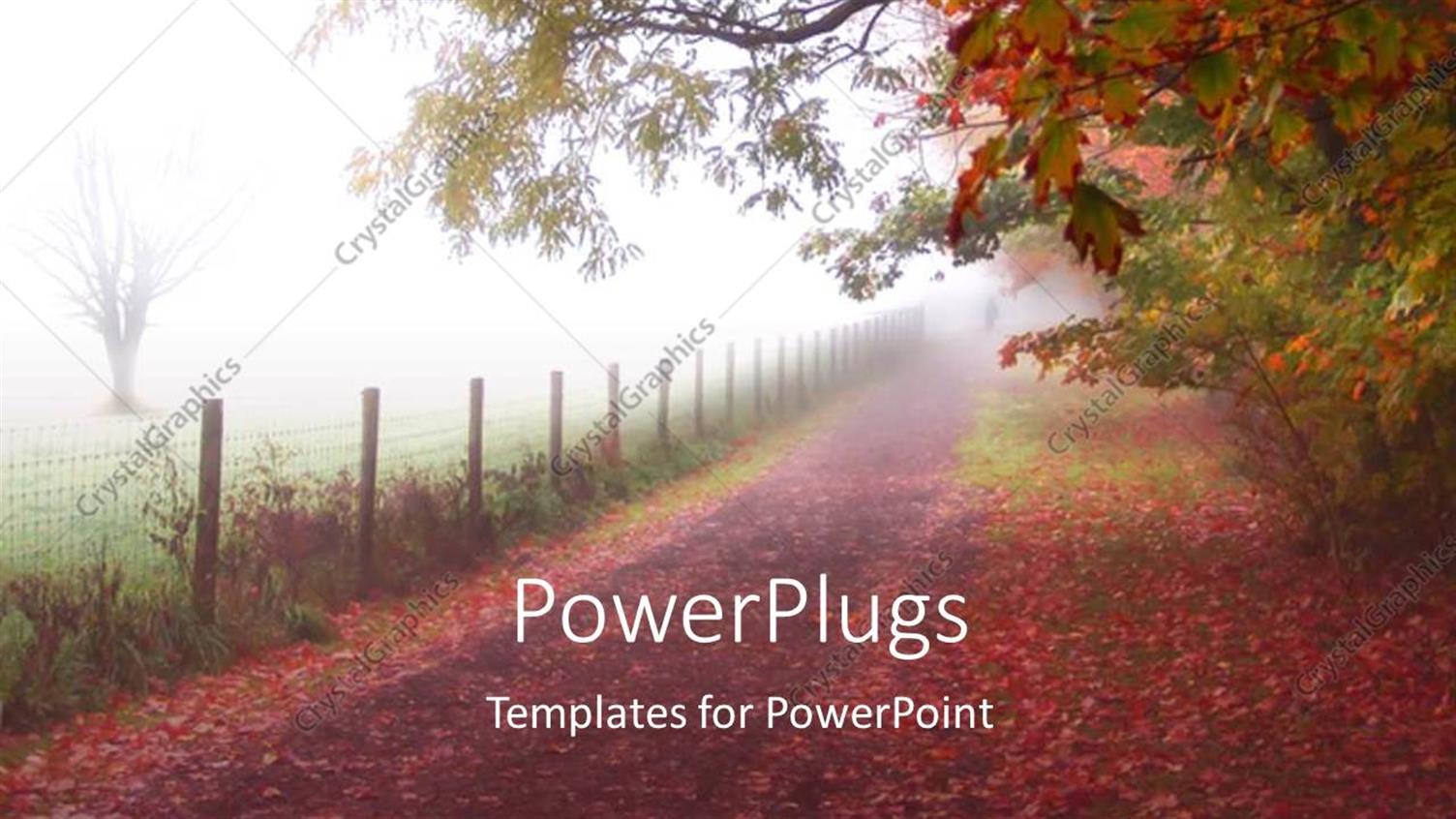 Premium Template for PowerPoint & Google Slides 