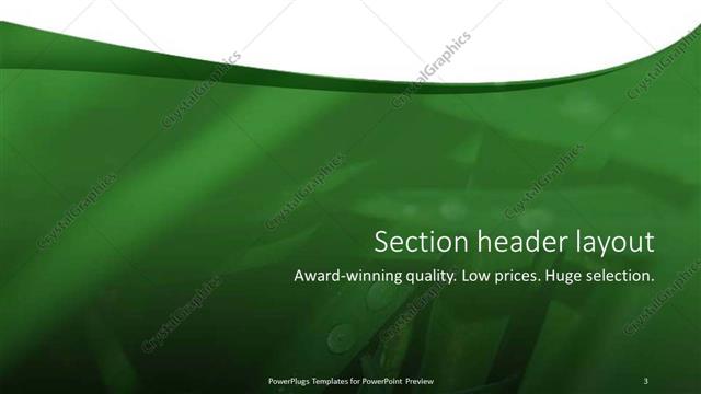 Section Header presentation slide layout