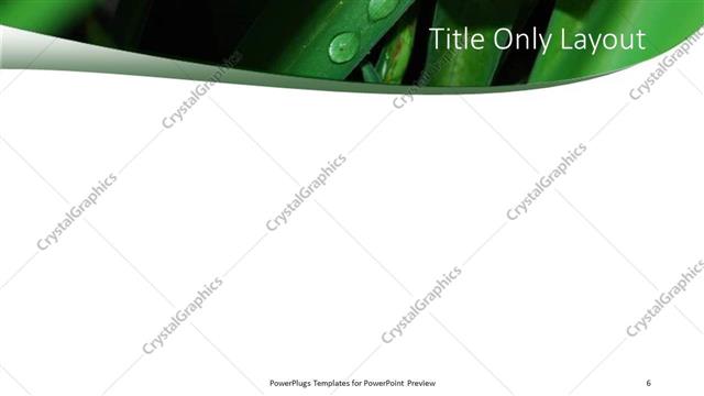 Title Only presentation slide layout