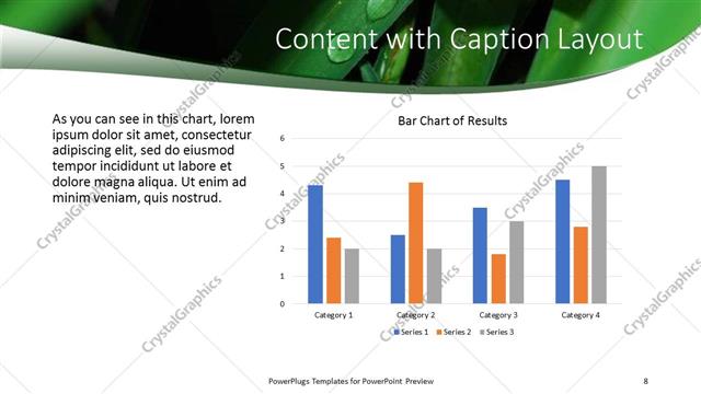 Content with Caption presentation slide layout