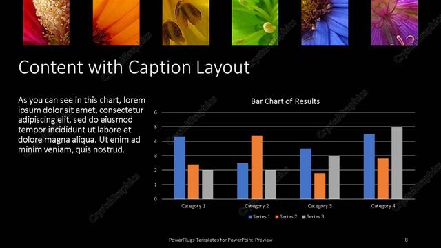 Content with Caption presentation slide layout
