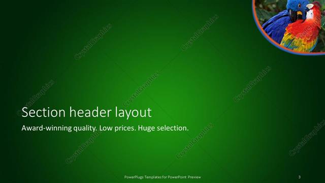 Section Header presentation slide layout