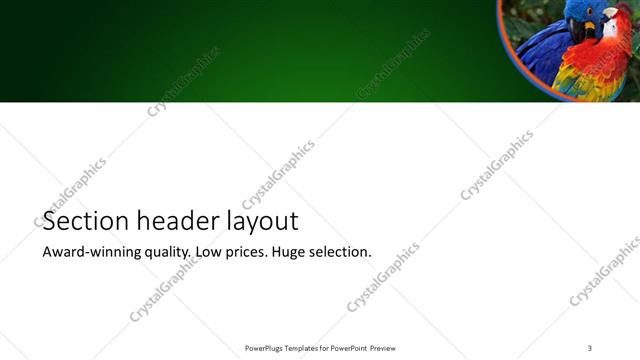 Section Header presentation slide layout