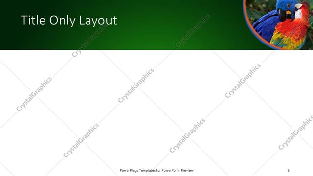 Title Only presentation slide layout