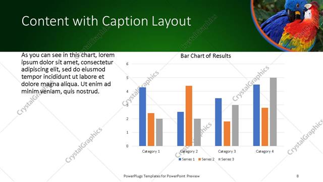 Content with Caption presentation slide layout