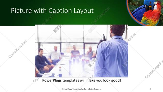Picture with Caption presentation slide layout