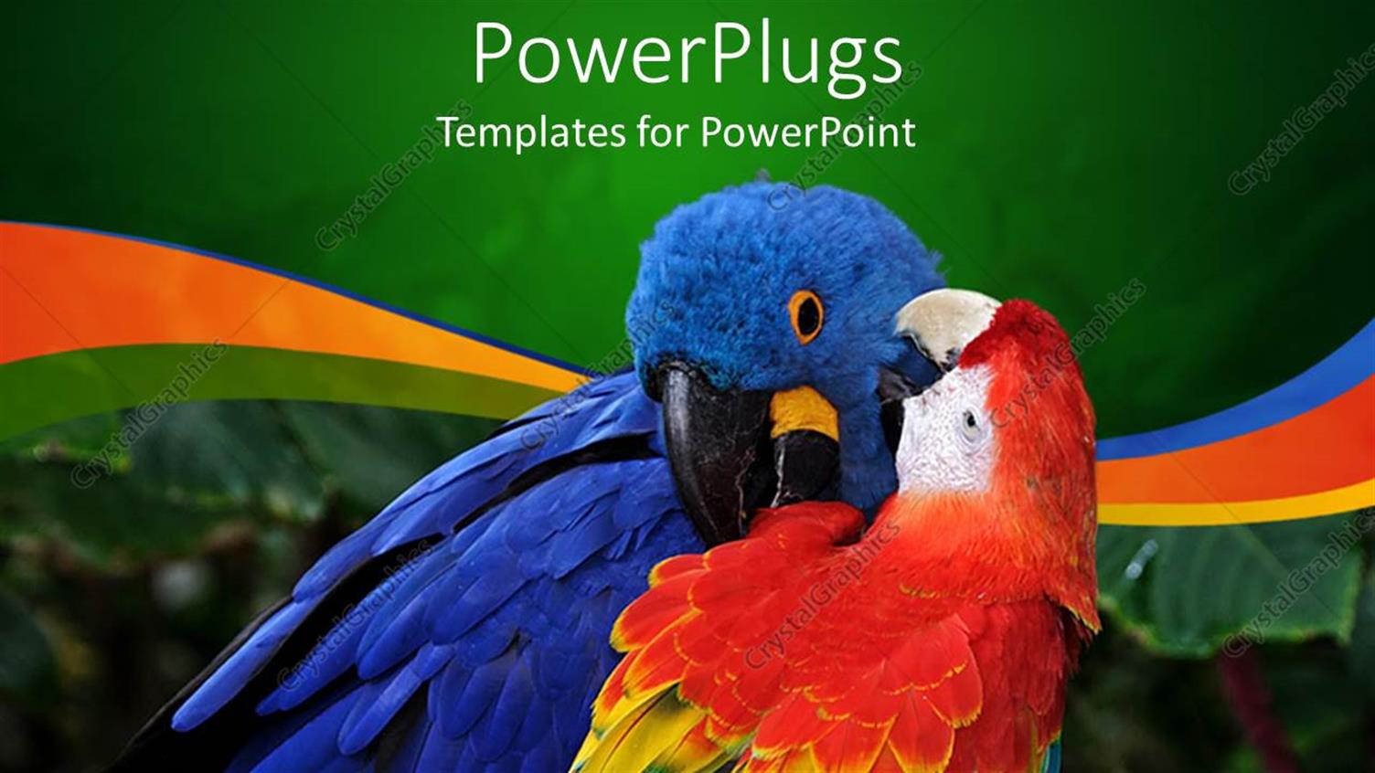 Premium Template for PowerPoint & Google Slides 